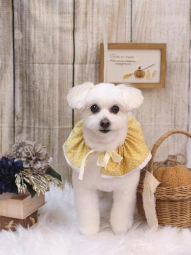 20241026うみちゃん